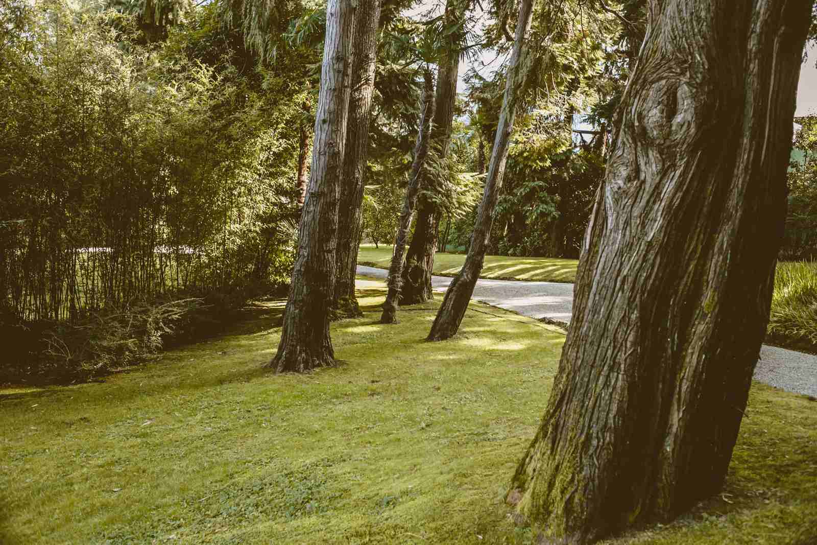 aura del lago garden