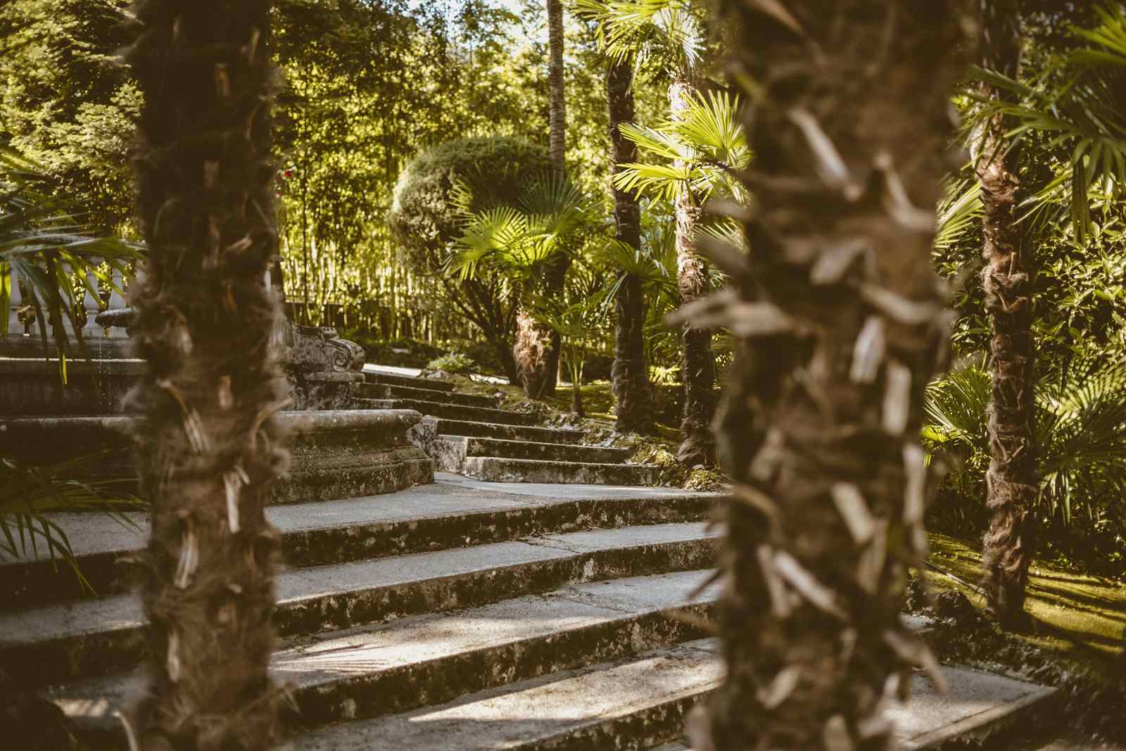 aura del lago garden