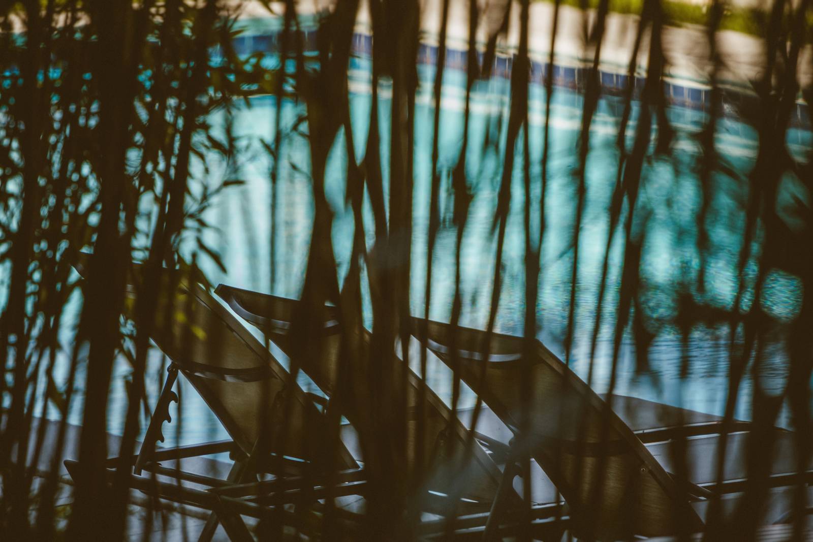 aura del lago garden